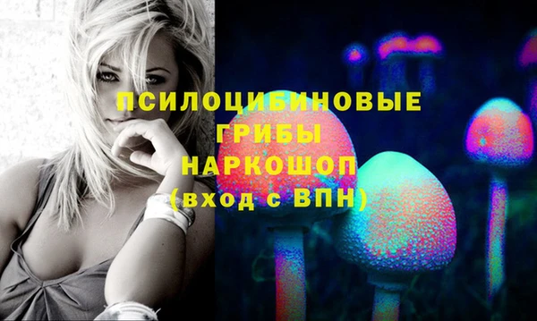 ешки Абинск