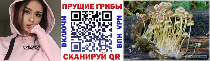 Псилоцибиновые грибы Magic Shrooms  где можно купить наркотик  Старый Крым 